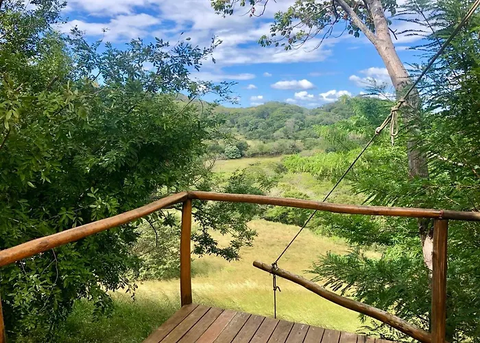 Hyla Nature Retreat