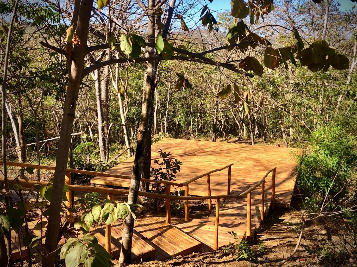Hyla Nature Retreat 5*
