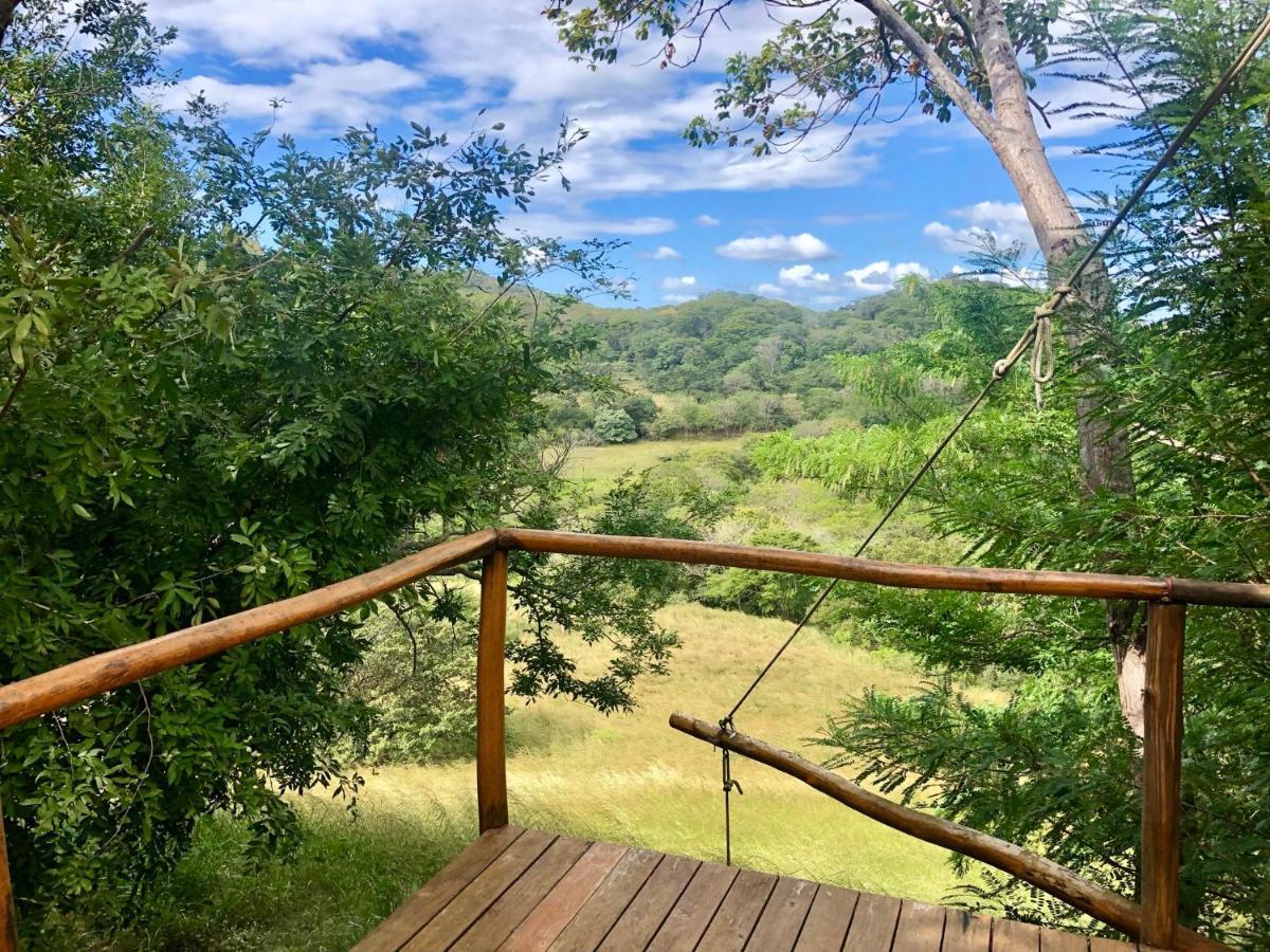 Hyla Nature Retreat