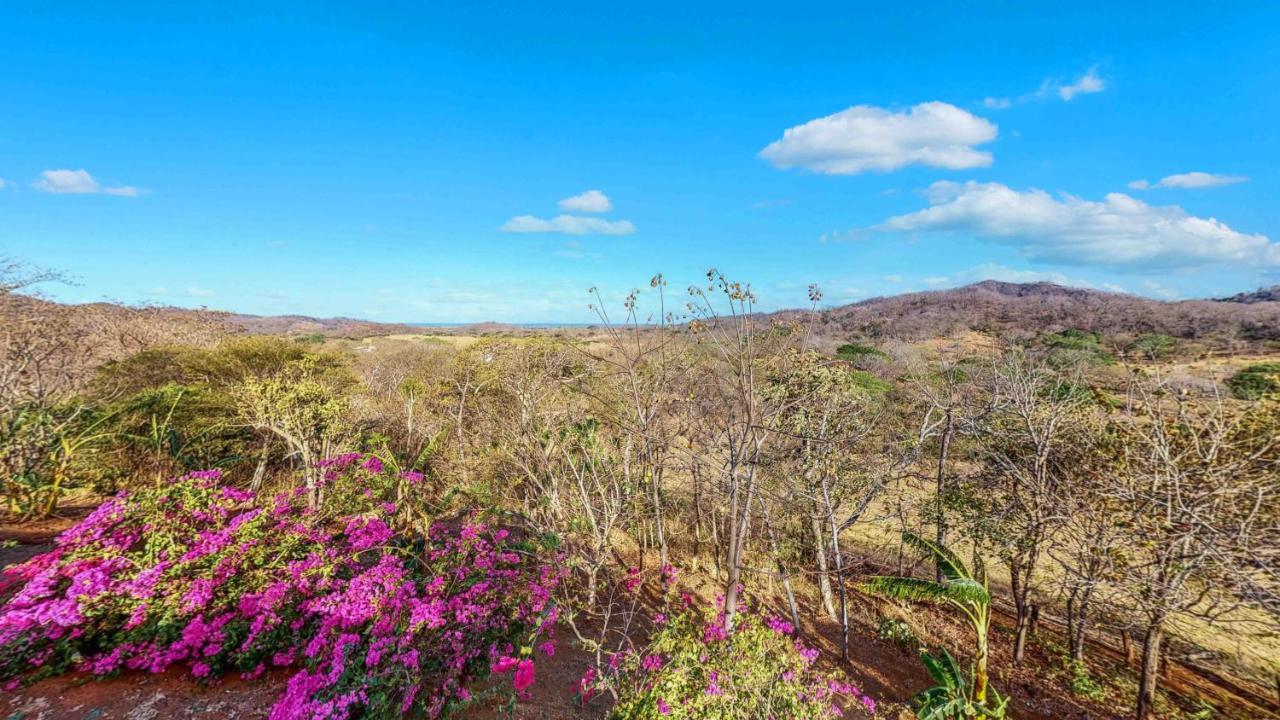 Hyla Nature Retreat Hotel